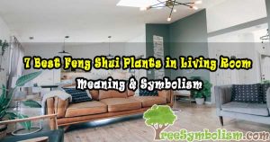 7 Best Feng Shui Plants in Living Room - Meaning & Symbolism
