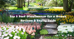 Top 5 Best Wheelbarrow for a Woman (2020) - Reviews & Buying Guide