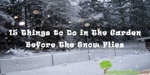 15 Things to Do in The Garden Before The Snow Flies
