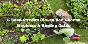 5 Best Garden Gloves for Thorns - 2020 Reviews & Buying Guide