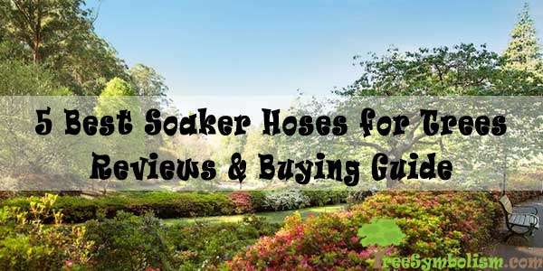 5 Best Soaker Hoses for Trees - Reviews & Buying Guide