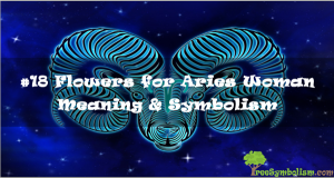 #18-Flowers-for-Aries-Woman-Meaning-Symbolism.jpg
