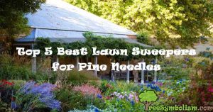 Top 5 Best Lawn Sweepers for Pine Needles