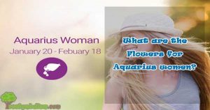 What are the Flowers for Aquarius women?