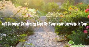 #57 Summer Gardening Tips to Keep Your Gardens in Top Shape