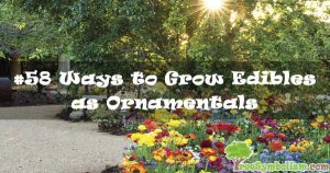 #58 Ways to Grow Edibles as Ornamentals