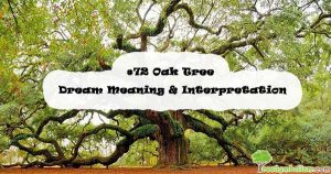 #72 Oak Tree - Dream Meaning & Interpretation