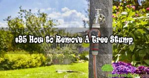 #95 How to Remove A Tree Stump