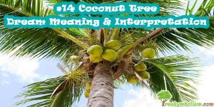 #14 Coconut Tree - Dream Meaning & Interpretation