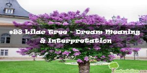 #98 Lilac Tree - Dream Meaning & Interpretation