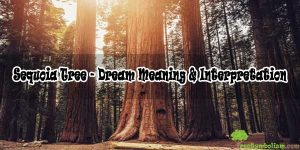 Sequoia Tree - Dream Meaning & Interpretation