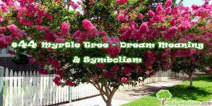 #44 Myrtle Tree - Dream Meaning & Symbolism