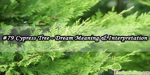 #79 Cypress Tree - Dream Meaning & Interpretation