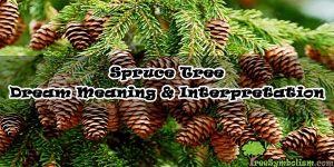 Spruce Tree - Dream Meaning & Interpretation