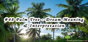 #48 Palm Tree - Dream Meaning & Interpretation