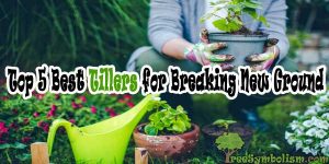 Top 5 Best Tillers for Breaking New Ground