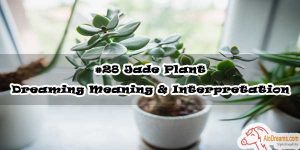 #28 Jade Plant - Dreaming Meaning & Interpretation