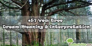 #57 Yew Tree - Dream Meaning & Interpretation