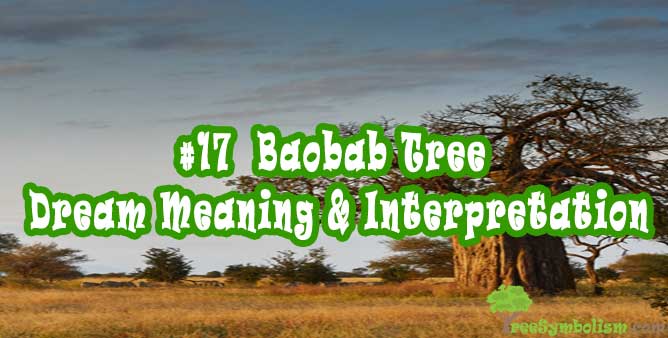 #17 Baobab Tree - Dream Meaning & Interpretation
