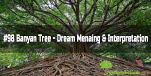 #98 Banyan Tree - Dream Meaning & Interpretation