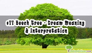 #77 Beech Tree - Dream Meaning & Interpretation