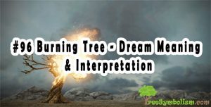 #96 Burning Tree - Dream Meaning & Interpretation