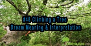 #48 Climbing a Tree - Dream Meaning & Interpretation