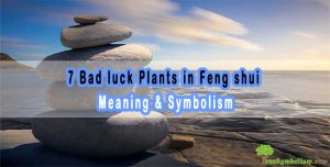 7 Bad luck Plants in Feng shui - Meaning & Symbolism