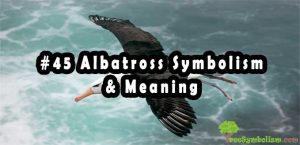 #45 Albatross Symbolism & Meaning