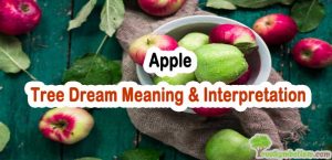 #68 Apple - Tree Dream Meaning & Interpretation