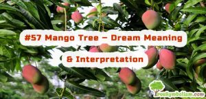 #57 Mango Tree - Dream Meaning & Interpretation