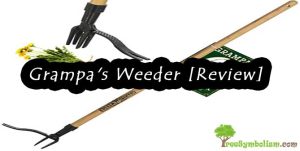 Grampa's Weeder [Review]