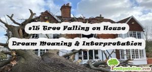 #15 Tree Falling on House - Dream Meaning & Interpretation