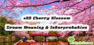 #29 Cherry Blossom - Dream Meaning & Interpretation