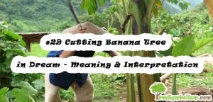 #29 Cutting Banana Tree in Dream - Meaning & Interpretation