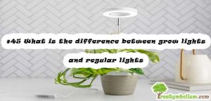 #45 What is the difference between grow lights and regular lights