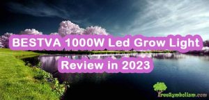 BESTVA 1000W Led Grow Light - Review