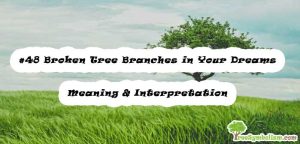 #48 Broken Tree Branches in Your Dreams - Meaning & Interpretation
