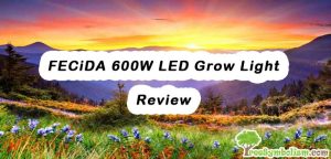 FECiDA 600W LED Grow Light - Review