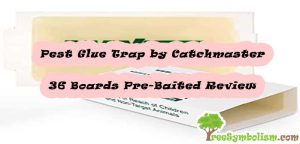 Pest Glue Trap by Catchmaster - 36 Boards Pre-Baited Review