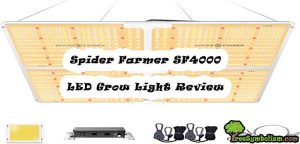 Spider Farmer SF4000 LED Grow Light Review
