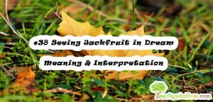 #38 Seeing Jackfruit in Dream - Meaning & Interpretation