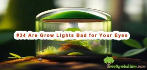 #34 Are Grow Lights Bad for Your Eyes - The Impact of Grow Lights on Eye Health