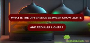 What is the difference between grow lights and regular lights ?