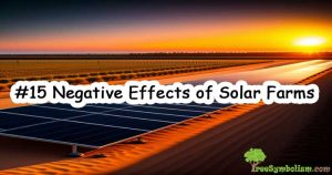#15 Negative Effects of Solar Farms