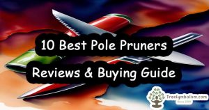 10 Best Pole Pruners - Reviews & Buying Guide