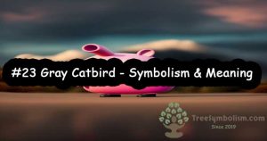 #23 Gray Catbird - Symbolism & Meaning