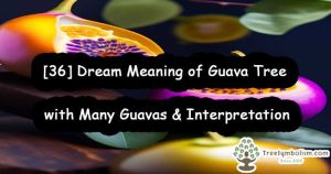 [36] Dream Meaning of Guava Tree with Many Guavas & Interpretation