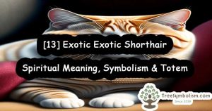 [13] Exotic Shorthair - Spiritual Meaning, Symbolism & Totem