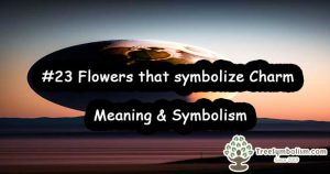 #23 Flowers that symbolize Charm - Meaning & Symbolism